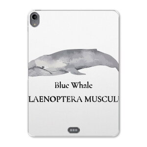 iPad Pro 11 1 2018N p P[X \tg TPUP[X A1980 A2013 A1934 Ή ^ubgP[X ^ubgJo[ 019741 fUC C̐ ViKXNW blue whale