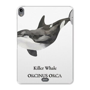 iPad Pro 11 1 2018N p P[X \tg TPUP[X A1980 A2013 A1934 Ή ^ubgP[X ^ubgJo[ 019743 fUC C̐ V` killer whale