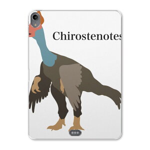 iPad Pro 12.9 3 2019N p P[X \tg TPUP[X A1876 A2014 A1895 Ή ^ubgP[X ^ubgJo[ 019774   Chirostenotes LXemeX