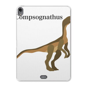 iPad Pro 11 1 2018N p P[X \tg TPUP[X A1980 A2013 A1934 Ή ^ubgP[X ^ubgJo[ 019778   Compsognathus Rv\OigDX