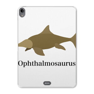 iPad Pro 11 1 2018N p P[X \tg TPUP[X A1980 A2013 A1934 Ή ^ubgP[X ^ubgJo[ 019797 fUC  It^TEX