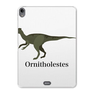 iPad Pro 11 1 2018N p P[X \tg TPUP[X A1980 A2013 A1934 Ή ^ubgP[X ^ubgJo[ 019798 fUC  Ornitholestes IjgXeX
