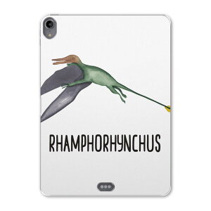iPad Pro 11 ��1���� 2018�N�� �p �P�[�X �\�t�g TPU�P�[�X A1980 A2013 A1934 �Ή� �^�u���b�g�P�[�X �^�u���b�g�J�o�[ 019825 ���� ���� Rhamphorhynchus �����t�H�����N�X