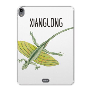 iPad Pro 12.9 ��3���� 2019�N�� �p �P�[�X �\�t�g TPU�P�[�X A1876 A2014 A1895 �Ή� �^�u���b�g�P�[�X �^�u���b�g�J�o�[ 019832 ���� ���� Xianglong �V��������