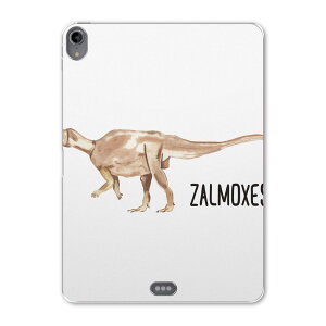 iPad Pro 11 1 2018N p P[X \tg TPUP[X A1980 A2013 A1934 Ή ^ubgP[X ^ubgJo[ 019834   Zalmoxes UNZX