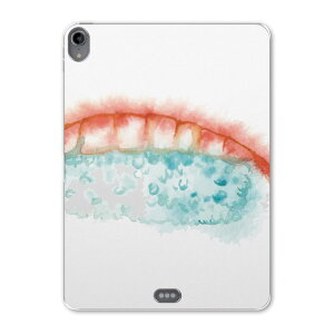 iPad Pro 11 ��1���� 2018�N�� �p �P�[�X �\�t�g TPU�P�[�X A1980 A2013 A1934 �Ή� �^�u���b�g�P�[�X �^�u���b�g�J�o�[ 019849 ���i �����i Sushi