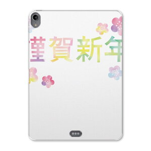 iPad Pro 11 1 2018N p P[X \tg TPUP[X A1980 A2013 A1934 Ή ^ubgP[X ^ubgJo[ 019986   