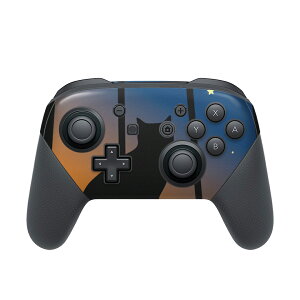 Nintendo Switch p PRORg[ p jeh[ XCb` vR p fUCXLV[ SʃZbg Jo[ P[X ی tB XebJ[ fR ANZT[ 001048 L@O