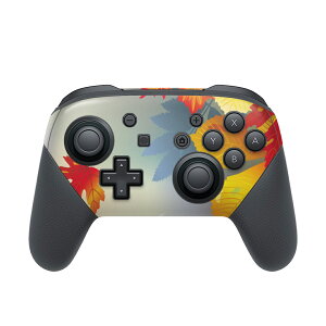 Nintendo Switch p PRORg[ p jeh[ XCb` vR p fUCXLV[ SʃZbg Jo[ P[X ی tB XebJ[ fR ANZT[ 001280 gt@H