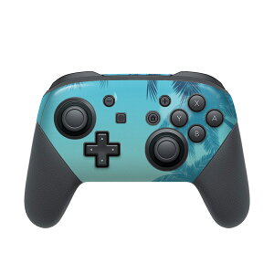 Nintendo Switch p PRORg[ p jeh[ XCb` vR p fUCXLV[ SʃZbg Jo[ P[X ی tB XebJ[ fR ANZT[ 001358 V̖