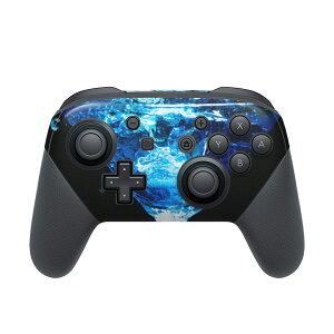 Nintendo Switch p PRORg[ p jeh[ XCb` vR p fUCXLV[ SʃZbg Jo[ P[X ی tB XebJ[ fR ANZT[ 001534 JNe@