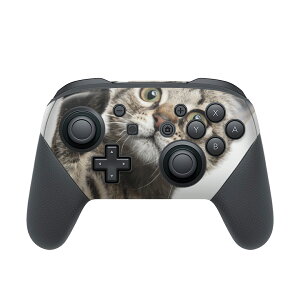 Nintendo Switch p PRORg[ p jeh[ XCb` vR p fUCXLV[ SʃZbg Jo[ P[X ی tB XebJ[ fR ANZT[ 002674 L@@