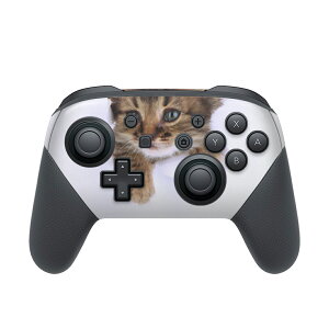 Nintendo Switch p PRORg[ p jeh[ XCb` vR p fUCXLV[ SʃZbg Jo[ P[X ی tB XebJ[ fR ANZT[ 002892 L@@