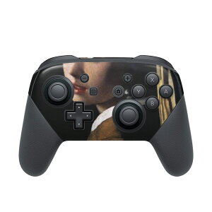 Nintendo Switch p PRORg[ p jeh[ XCb` vR p fUCXLV[ SʃZbg Jo[ P[X ی tB XebJ[ fR ANZT[ 003190 N[ l@