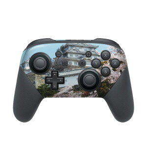 Nintendo Switch p PRORg[ p jeh[ XCb` vR p fUCXLV[ SʃZbg Jo[ P[X ی tB XebJ[ fR ANZT[ 003277 N[ ʐ^@