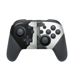 Nintendo Switch p PRORg[ p jeh[ XCb` vR p fUCXLV[ SʃZbg Jo[ P[X ی tB XebJ[ fR ANZT[ 003469 `FX@