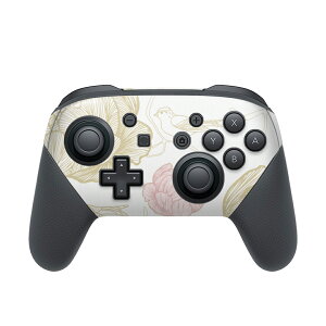 Nintendo Switch p PRORg[ p jeh[ XCb` vR p fUCXLV[ SʃZbg Jo[ P[X ی tB XebJ[ fR ANZT[ 003758 ԁ@CXg