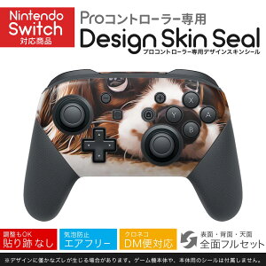 Nintendo Switch p PRORg[ p jeh[ XCb` vR p fUCXLV[ SʃZbg Jo[ P[X ی tB XebJ[ fR ANZT[ 022868 @ʐ^