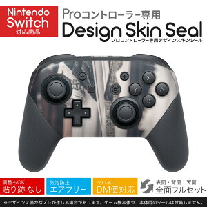 Nintendo Switch p PRORg[ p jeh[ XCb` vR p fUCXLV[ SʃZbg Jo[ P[X ی tB XebJ[ fR ANZT[ 023010 t@bV