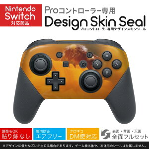 Nintendo Switch p PRORg[ p jeh[ XCb` vR p fUCXLV[ SʃZbg Jo[ P[X ی tB XebJ[ fR ANZT[ 023042 I@ԁ@ʐ^