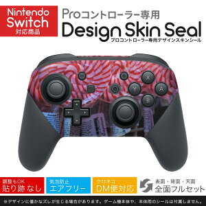 Nintendo Switch p PRORg[ p jeh[ XCb` vR p fUCXLV[ SʃZbg Jo[ P[X ی tB XebJ[ fR ANZT[ 023067 LfB[