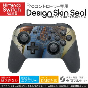 Nintendo Switch p PRORg[ p jeh[ XCb` vR p fUCXLV[ SʃZbg Jo[ P[X ی tB XebJ[ fR ANZT[ 023072 l@ԁ@t