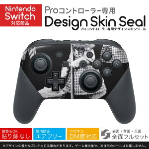 Nintendo Switch p PRORg[ p jeh[ XCb` vR p fUCXLV[ SʃZbg Jo[ P[X ی tB XebJ[ fR ANZT[ 023079 L@mN