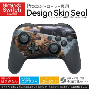 Nintendo Switch p PRORg[ p jeh[ XCb` vR p fUCXLV[ SʃZbg Jo[ P[X ی tB XebJ[ fR ANZT[ 023084 L@˂@