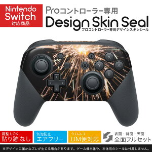 Nintendo Switch p PRORg[ p jeh[ XCb` vR p fUCXLV[ SʃZbg Jo[ P[X ی tB XebJ[ fR ANZT[ 023100 ԉ΁@ʐ^