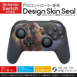 Nintendo Switch p PRORg[ p jeh[ XCb` vR p fUCXLV[ SʃZbg Jo[ P[X ی tB XebJ[ fR ANZT[ 023111 l@q@