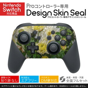 Nintendo Switch p PRORg[ p jeh[ XCb` vR p fUCXLV[ SʃZbg Jo[ P[X ی tB XebJ[ fR ANZT[ 023116 ԁ@ʐ^