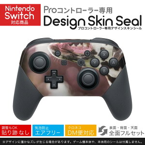 Nintendo Switch p PRORg[ p jeh[ XCb` vR p fUCXLV[ SʃZbg Jo[ P[X ی tB XebJ[ fR ANZT[ 023189 @@