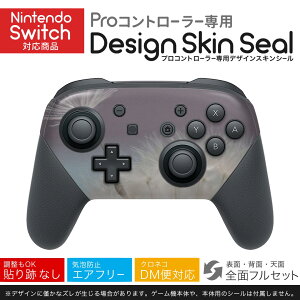 Nintendo Switch p PRORg[ p jeh[ XCb` vR p fUCXLV[ SʃZbg Jo[ P[X ی tB XebJ[ fR ANZT[ 023192 ۂہ@