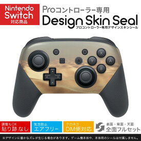 Nintendo Switch 用 PROコントローラ 専用 ニンテンドー スイッチ プロコン 専用 デザインスキンシール 全面セット カバー ケース 保護 フィルム ステッカー デコ アクセサリー 023204 砂漠　写真