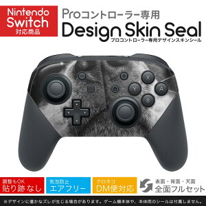 Nintendo Switch p PRORg[ p jeh[ XCb` vR p fUCXLV[ SʃZbg Jo[ P[X ی tB XebJ[ fR ANZT[ 023216 @ʐ^@