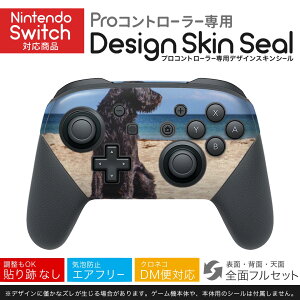 Nintendo Switch p PRORg[ p jeh[ XCb` vR p fUCXLV[ SʃZbg Jo[ P[X ی tB XebJ[ fR ANZT[ 023219 @C@ā@