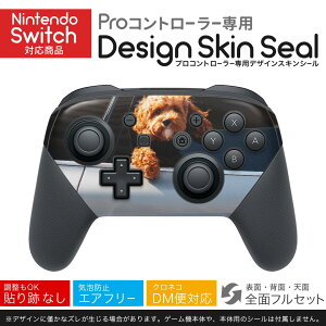 Nintendo Switch p PRORg[ p jeh[ XCb` vR p fUCXLV[ SʃZbg Jo[ P[X ی tB XebJ[ fR ANZT[ 023221 @ԁ@ʐ^