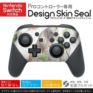 Nintendo Switch p PRORg[ p jeh[ XCb` vR p fUCXLV[ SʃZbg Jo[ P[X ی tB XebJ[ fR ANZT[ 023223 @CXg