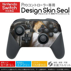 Nintendo Switch p PRORg[ p jeh[ XCb` vR p fUCXLV[ SʃZbg Jo[ P[X ی tB XebJ[ fR ANZT[ 023225 @ʐ^@