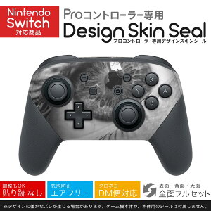 Nintendo Switch p PRORg[ p jeh[ XCb` vR p fUCXLV[ SʃZbg Jo[ P[X ی tB XebJ[ fR ANZT[ 023249 ځ@ʐ^@l