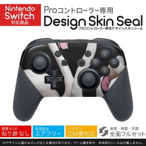 Nintendo Switch p PRORg[ p jeh[ XCb` vR p fUCXLV[ SʃZbg Jo[ P[X ی tB XebJ[ fR ANZT[ 023284 t~S@
