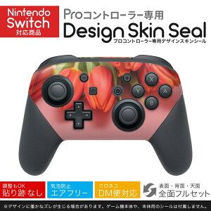 Nintendo Switch p PRORg[ p jeh[ XCb` vR p fUCXLV[ SʃZbg Jo[ P[X ی tB XebJ[ fR ANZT[ 023309 ԁ@t[