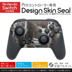 Nintendo Switch p PRORg[ p jeh[ XCb` vR p fUCXLV[ SʃZbg Jo[ P[X ی tB XebJ[ fR ANZT[ 023560 ~[ALb