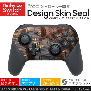Nintendo Switch p PRORg[ p jeh[ XCb` vR p fUCXLV[ SʃZbg Jo[ P[X ی tB XebJ[ fR ANZT[ 023719 ppXO