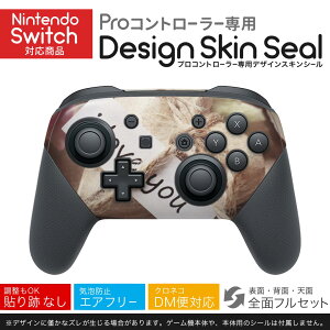 Nintendo Switch p PRORg[ p jeh[ XCb` vR p fUCXLV[ SʃZbg Jo[ P[X ی tB XebJ[ fR ANZT[ 023746 ԁ@t[