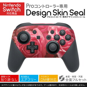Nintendo Switch p PRORg[ p jeh[ XCb` vR p fUCXLV[ SʃZbg Jo[ P[X ی tB XebJ[ fR ANZT[ 023750 ԁ@t[