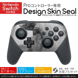 Nintendo Switch p PRORg[ p jeh[ XCb` vR p fUCXLV[ SʃZbg Jo[ P[X ی tB XebJ[ fR ANZT[ 023787 r@