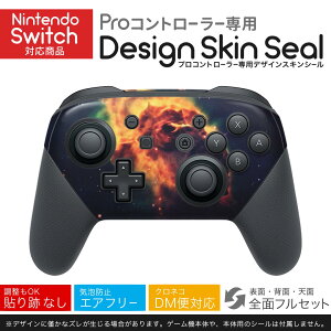 Nintendo Switch p PRORg[ p jeh[ XCb` vR p fUCXLV[ SʃZbg Jo[ P[X ی tB XebJ[ fR ANZT[ 023815 F@f