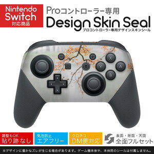 Nintendo Switch p PRORg[ p jeh[ XCb` vR p fUCXLV[ SʃZbg Jo[ P[X ی tB XebJ[ fR ANZT[ 023867 i@ʐ^