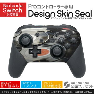 Nintendo Switch p PRORg[ p jeh[ XCb` vR p fUCXLV[ SʃZbg Jo[ P[X ی tB XebJ[ fR ANZT[ 023940 R[h@